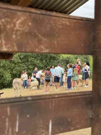 Las visitas a queserías se ponen de moda: turismo con mucho gusto