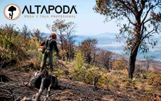 ALTA PODA refuerza el cuidado de las parcelas tras los incendios con trabajos de desbroce y limpieza