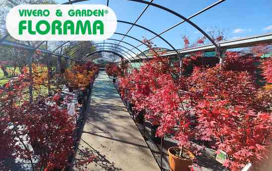 Viveros Florama: claves para preparar el jardín y disfrutar del color del otoño