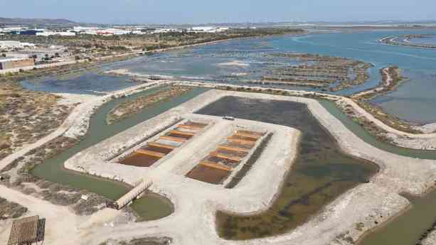 Aponiente impulsa un proyecto pionero de carbono azul en la Salina San José