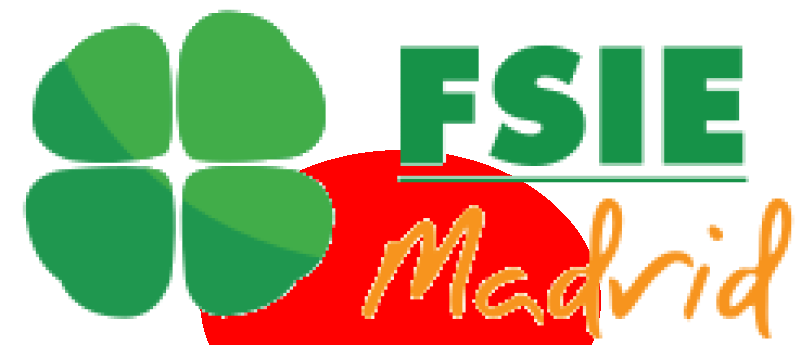 FSIE Madrid presenta sus reivindicaciones ante la Consejería de Educación